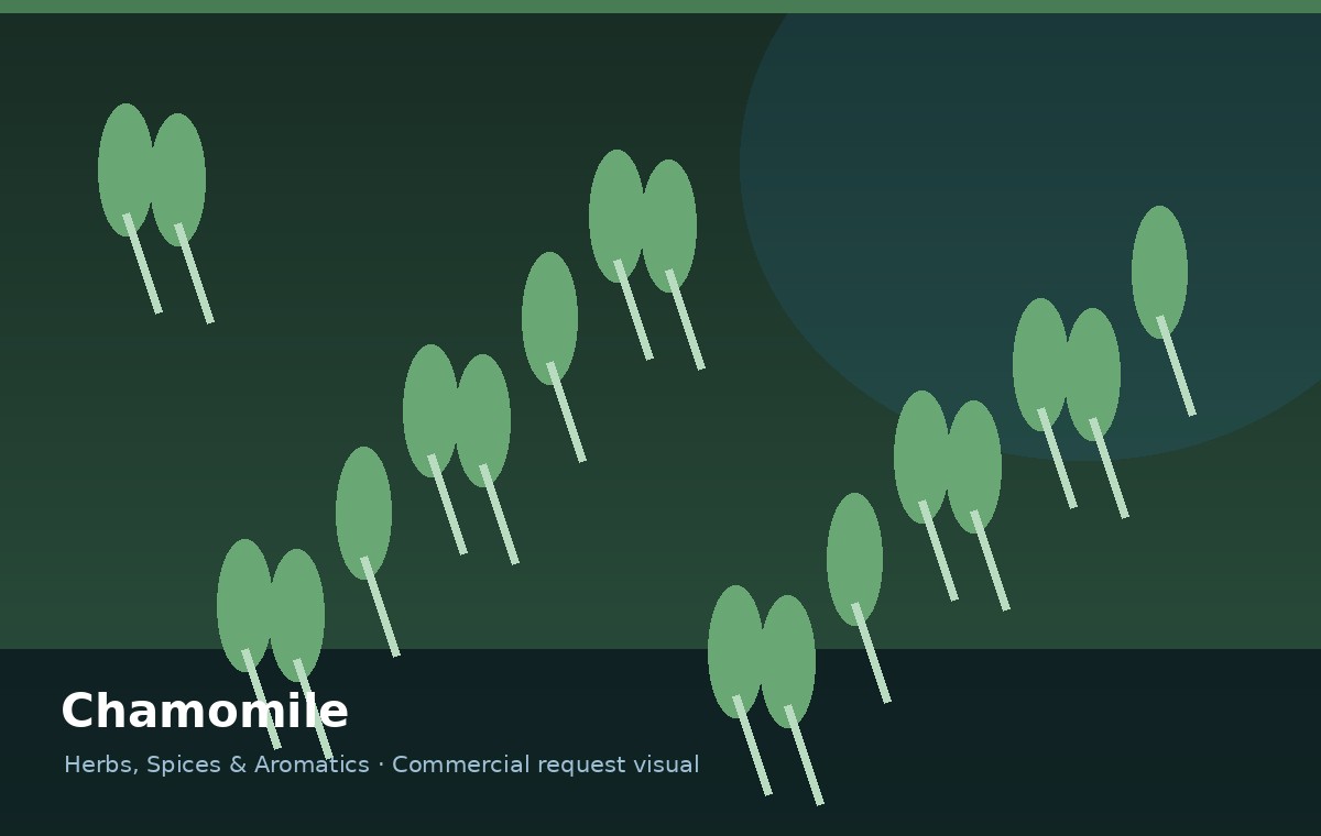 Chamomile