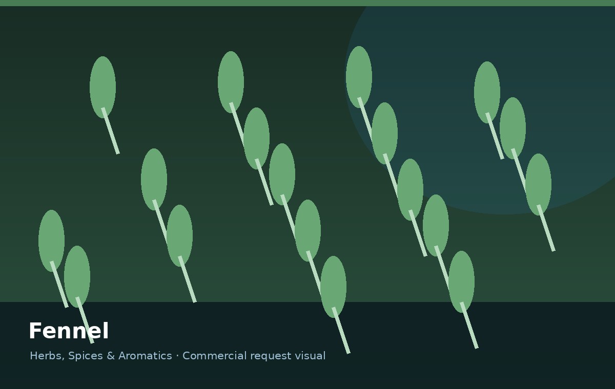 Fennel
