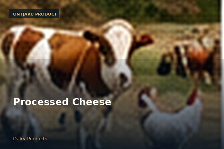 Processed Cheese